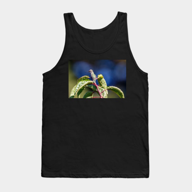 Hummingbird perched on a tree Tank Top by blossomcophoto